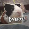 •°Barney°•