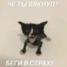 𓍼