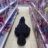 мистерсинтез