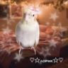 ♡☆᧘σρυκ☆♡