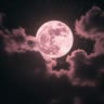 ʜɪsᴛᴏʀʏ_ᴍᴏᴏɴ🌙