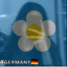 #ɢᴇʀᴍᴀɴʏ🇩🇪