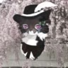Sasha_cat784