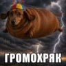 Шансек🎰🎰