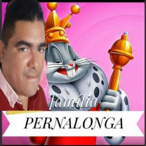 Pernalonga2